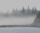 Maine #11