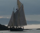 Maine #8