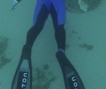 Free Diving #1