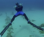 Free Diving #3